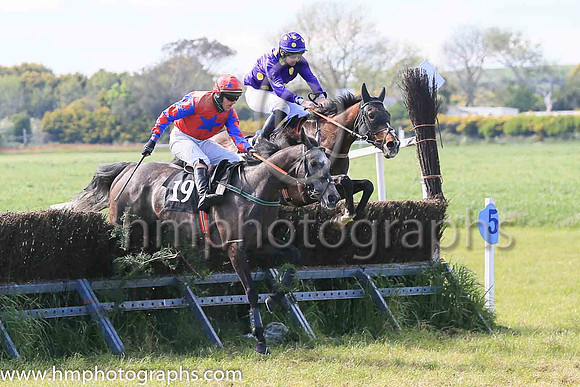 01st RANGER KID and J W Kenny ( 16 , PURPLE,gold spots ) Trainer: Liam Kenny , Owner : Patrick Joseph Redmond