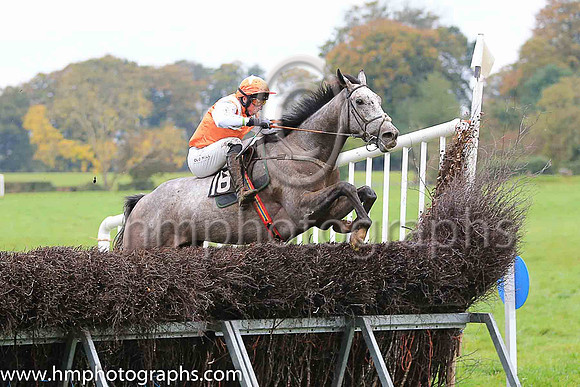 CRIO CUERVOS (FR) and J J Codd ( 16 , ORANGE,white epaulettes; white sleeves; orange cap,white star ) Trainer: Denis Paul Murphy , Owner : Denis Paul Murphy