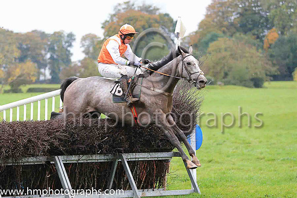 CRIO CUERVOS (FR) and J J Codd ( 16 , ORANGE,white epaulettes; white sleeves; orange cap,white star ) Trainer: Denis Paul Murphy , Owner : Denis Paul Murphy