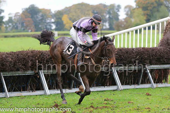SCHOOL LANE and A J Fox ( 13 , MAUVE,black sash; mauve sleeves,black armlet; black cap ) Trainer: Liam Lennon , Owner : Patrick Francis Doyle