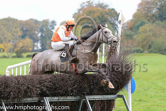 CRIO CUERVOS (FR) and J J Codd ( 16 , ORANGE,white epaulettes; white sleeves; orange cap,white star ) Trainer: Denis Paul Murphy , Owner : Denis Paul Murphy
