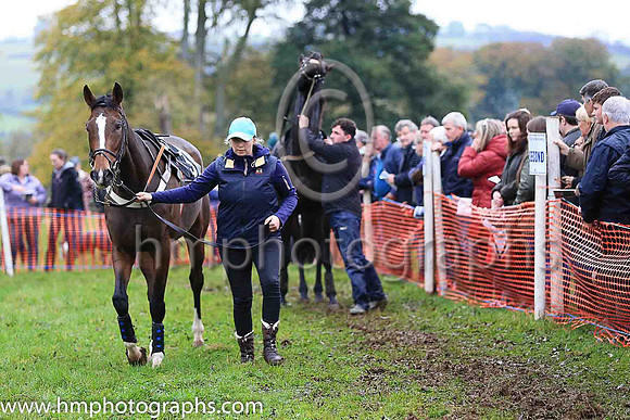CORUS GIRL and B Lawless ( 3 , DARK BLUE,white star; white sleeves; light blue  dark blue striped cap ) Trainer: William J. McLernon,, Owner : J.M. Fitzpatrick