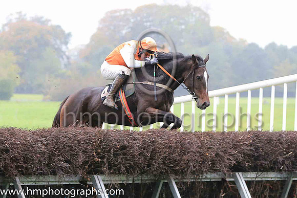 01st FROZEN MOTION (GB) and J J Codd ( 4 , ORANGE,white epaulettes; white sleeves; orange cap,white star ) Trainer: Denis Paul Murphy , Owner : Denis Paul Murphy