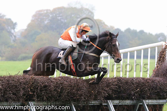01st FROZEN MOTION (GB) and J J Codd ( 4 , ORANGE,white epaulettes; white sleeves; orange cap,white star ) Trainer: Denis Paul Murphy , Owner : Denis Paul Murphy