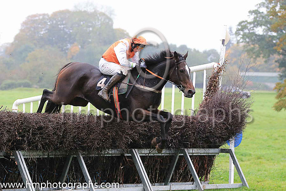 01st FROZEN MOTION (GB) and J J Codd ( 4 , ORANGE,white epaulettes; white sleeves; orange cap,white star ) Trainer: Denis Paul Murphy , Owner : Denis Paul Murphy