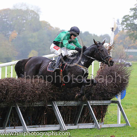 LOVEFROMABOVE and Derek O'Connor ( 7 , GREEN,black sash; green sleeves; black cap ) Trainer: Lyle Andrew,, Owner : Michael D.A. Graham