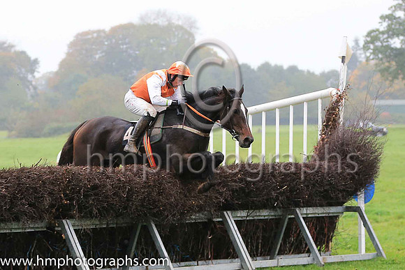01st FROZEN MOTION (GB) and J J Codd ( 4 , ORANGE,white epaulettes; white sleeves; orange cap,white star ) Trainer: Denis Paul Murphy , Owner : Denis Paul Murphy