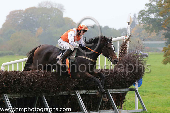 01st FROZEN MOTION (GB) and J J Codd ( 4 , ORANGE,white epaulettes; white sleeves; orange cap,white star ) Trainer: Denis Paul Murphy , Owner : Denis Paul Murphy