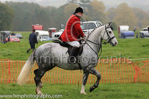 Huntsman at East Antrim Hunt Point to Point at Loughanmore
