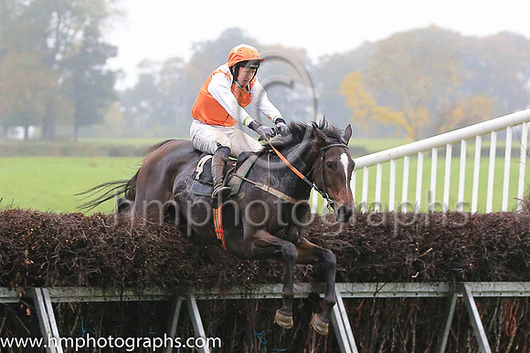 01st FROZEN MOTION (GB) and J J Codd ( 4 , ORANGE,white epaulettes; white sleeves; orange cap,white star ) Trainer: Denis Paul Murphy , Owner : Denis Paul Murphy