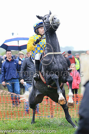 N Gault and Pigeon Butler in the parade ring at Loughanmore P2P
