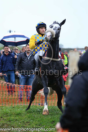 N Gault and Pigeon Butler in the parade ring at Loughanmore P2P