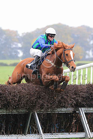 03rd DESIGN PLAN and J Cresswell ( 4 , DARK BLUE  EMERALD GREEN STRIPES; dark blue sleeves; white cap ) Trainer: Ann Hunter , Owner : Ann Hunter