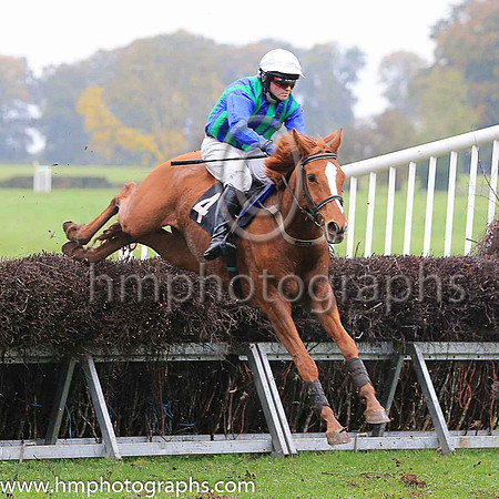 03rd DESIGN PLAN and J Cresswell ( 4 , DARK BLUE  EMERALD GREEN STRIPES; dark blue sleeves; white cap ) Trainer: Ann Hunter , Owner : Ann Hunter