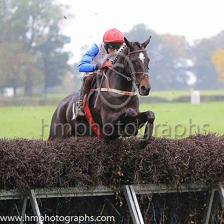 02nd SOME RESPONSE and D G Lavery ( 10 , WHITE; royal blue sleeves; red cap ) Trainer: B.R. Hamilton , Owner : Brian Hamilton