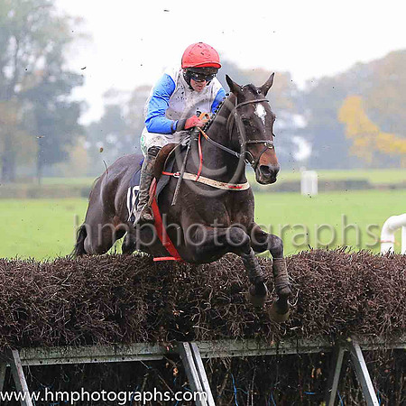 02nd SOME RESPONSE and D G Lavery ( 10 , WHITE; royal blue sleeves; red cap ) Trainer: B.R. Hamilton , Owner : Brian Hamilton/