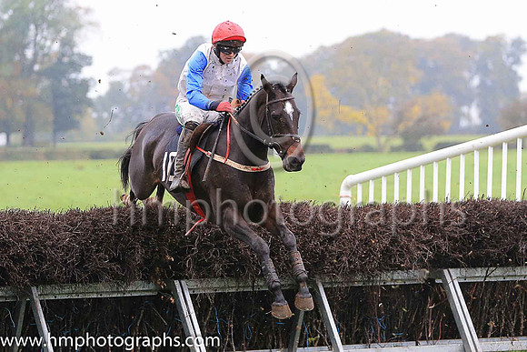 02nd SOME RESPONSE and D G Lavery ( 10 , WHITE; royal blue sleeves; red cap ) Trainer: B.R. Hamilton , Owner : Brian Hamilton