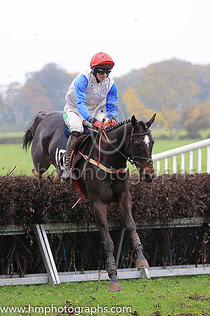 02nd SOME RESPONSE and D G Lavery ( 10 , WHITE; royal blue sleeves; red cap ) Trainer: B.R. Hamilton , Owner : Brian Hamilton