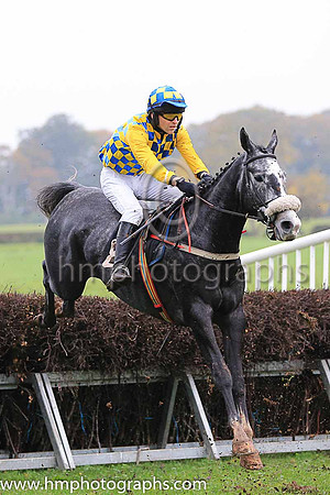 PIGEON BUTLER and N Gault ( 8 , ROYAL BLUE  YELLOW CHECK; yellow sleeves; royal blue  yellow check cap ) Trainer: Harry Smyth,, Owner : Harry Smyth