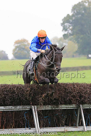 01st THE WHITE VOLCANO and J P O'Rourke ( 13 , ROYAL BLUE; royal blue sleeves; orange cap ) Trainer: J. Woods , Owner : Philip White