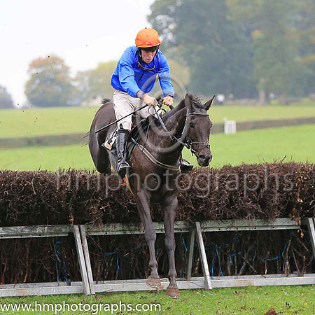 01st THE WHITE VOLCANO and J P O'Rourke ( 13 , ROYAL BLUE; royal blue sleeves; orange cap ) Trainer: J. Woods , Owner : Philip White