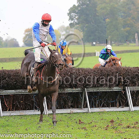 02nd SOME RESPONSE and D G Lavery ( 10 , WHITE; royal blue sleeves; red cap ) Trainer: B.R. Hamilton , Owner : Brian Hamilton