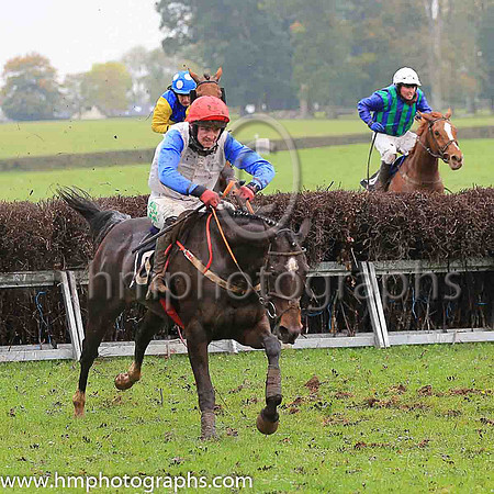 02nd SOME RESPONSE and D G Lavery ( 10 , WHITE; royal blue sleeves; red cap ) Trainer: B.R. Hamilton , Owner : Brian Hamilton