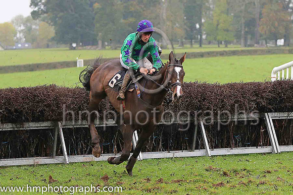 LARGY LEGS and B O'Neill ( 6 , EMERALD GREEN,purple star; emerald green sleeves,purple stars; purple cap,emerald green stars ) Trainer: S.R.B. Crawford , Owner : Raymond Scullion  Martin McGroggan