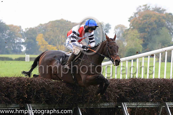 Felix Younger (PU) and rider Noel McParlan at the East Antrim Hunt P2p at Loughanmore
