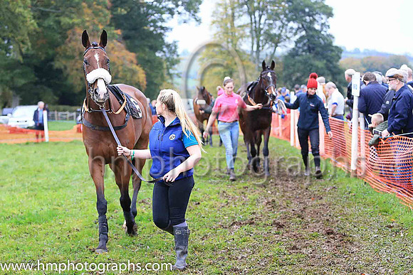 Horses in parade ring at East Antrim Hunt P2P at Loughanmore