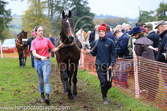 Horses in parade ring at East Antrim Hunt P2P at Loughanmore