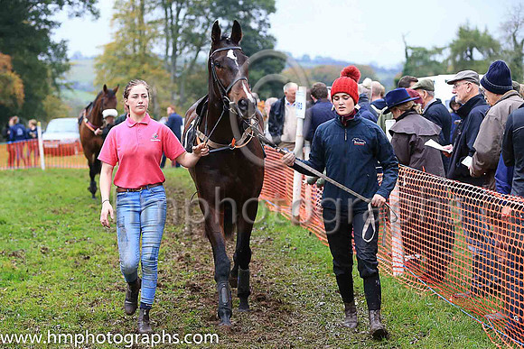 Horses in parade ring at East Antrim Hunt P2P at Loughanmore