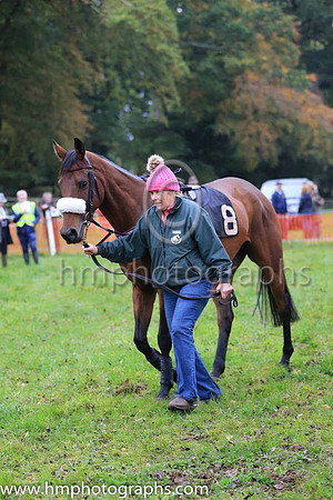 Horses in parade ring at East Antrim Hunt P2P at Loughanmore