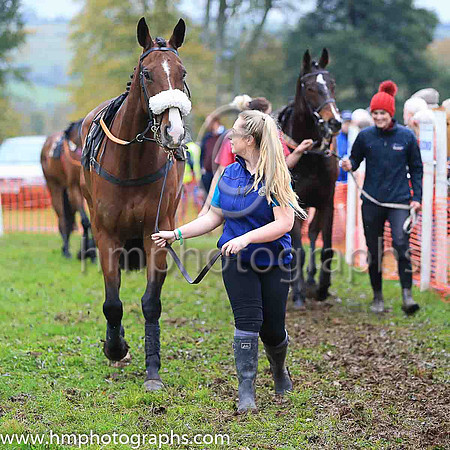 Horses in parade ring at East Antrim Hunt P2P at Loughanmore