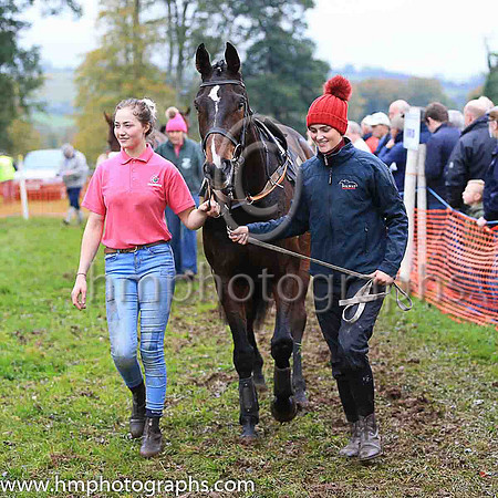 Horses in parade ring at East Antrim Hunt P2P at Loughanmore