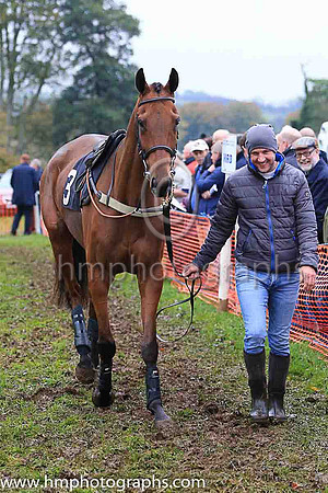 Horses in parade ring at East Antrim Hunt P2P at Loughanmore