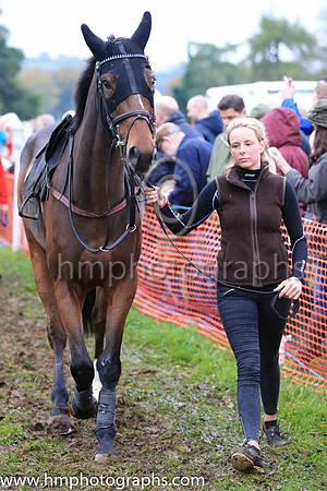 Horses in parade ring at East Antrim Hunt P2P at Loughanmore