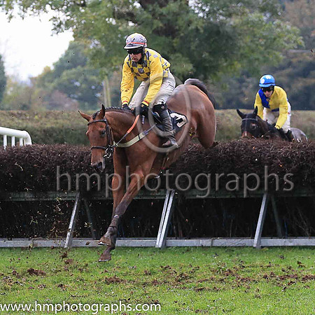 JUST FOR GERRY and A J Fox ( 3 , YELLOW  GREY CHECK; yellow sleeves; grey cap ) Trainer: Barbara E. Hanna , Owner : Syndicate Just For Gerry