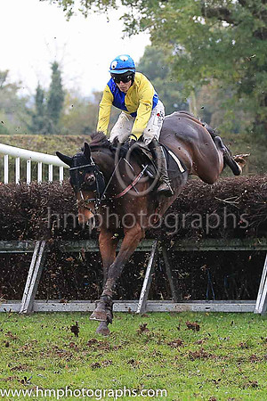 02nd ANOTHER DAY DONE and J C Barry ( 1 , YELLOW  ROYAL BLUE QTD; yellow sleeves; royal blue cap,white spots ) Trainer: S.R.B. Crawford , Owner : R.J. Armstrong