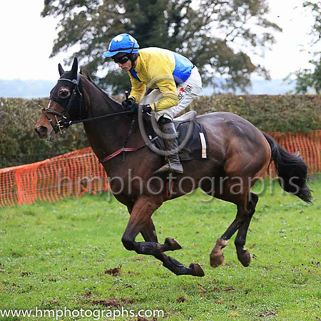 02nd ANOTHER DAY DONE and J C Barry ( 1 , YELLOW  ROYAL BLUE QTD; yellow sleeves; royal blue cap,white spots ) Trainer: S.R.B. Crawford , Owner : R.J. Armstrong