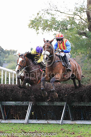 01st MILAN DANCER and N McParlan ( 4 , YELLOW,purple chevrons; yellow sleeves; yellow cap,purple star ) Trainer: Noel C. Kelly , Owner : Mrs. C. Kelly