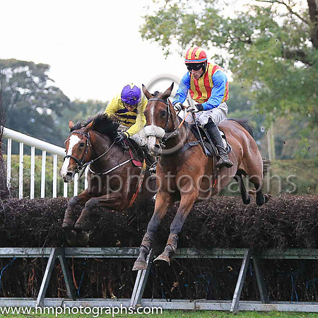Horses in parade ring at East Antrim Hunt P2P at Loughanmore