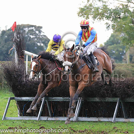 Horses in parade ring at East Antrim Hunt P2P at Loughanmore