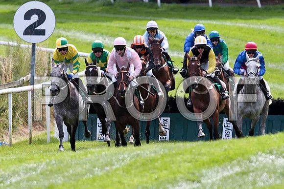 Black Rock Lake - Winner, Jockey P Townend in the lead - CU2D9390-e