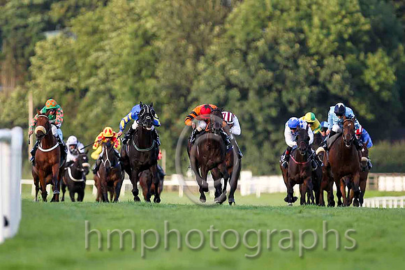Windsor Pride & C D Hayes - Winner (12, Orange, Black star) - CU2D3423-e