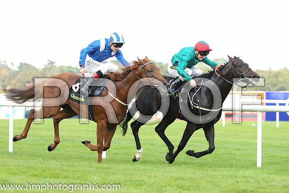 02 Mustajeeb and P J Smullen - - 02nd (8 ,royal blue, white epaulettes ) Trainer -   01 Bow Creek and J Fanning - - 01st (6 ,dark green, red cap ) Trainer - M Johnston