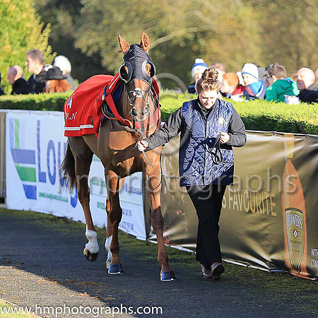 02nd Silviniaco Conti and N D Fehily ( 5 , pink,large purple spots ) Trainer - P F Nicholls , Owner - Chris Giles  Potensis Bloodstock Ltd
