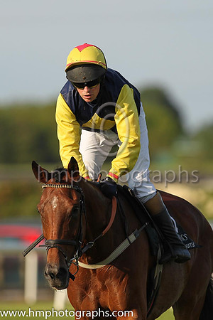 PU Curious Times and P.J. Carberry (7 ,blue, yellow diamond ), Trainer:S.R.B. Crawford , Owner:Mrs P Sloan