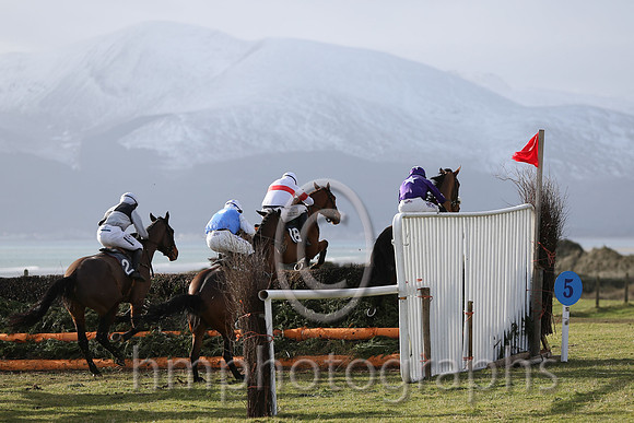 01 Ballyarthur  Derek O'Connor - Trainer : Colin S McKeever, Black and white qtrd