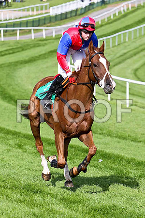 McSwynes Bay 2nd, Jockey K M Donoghue - CU2D1779-e